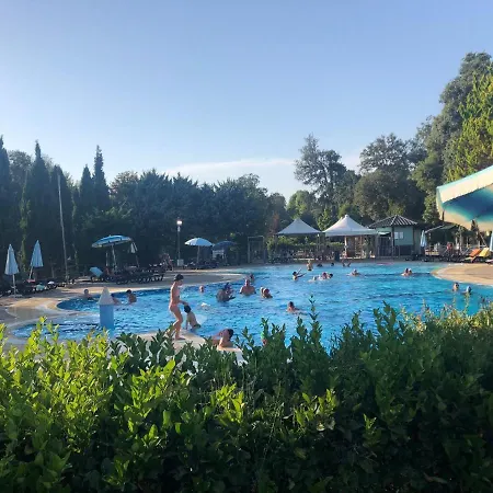 Toskana, Viareggio,chalet 27 Mit Klimaanlage Und Wlan シャレー ヴィアレッジョ